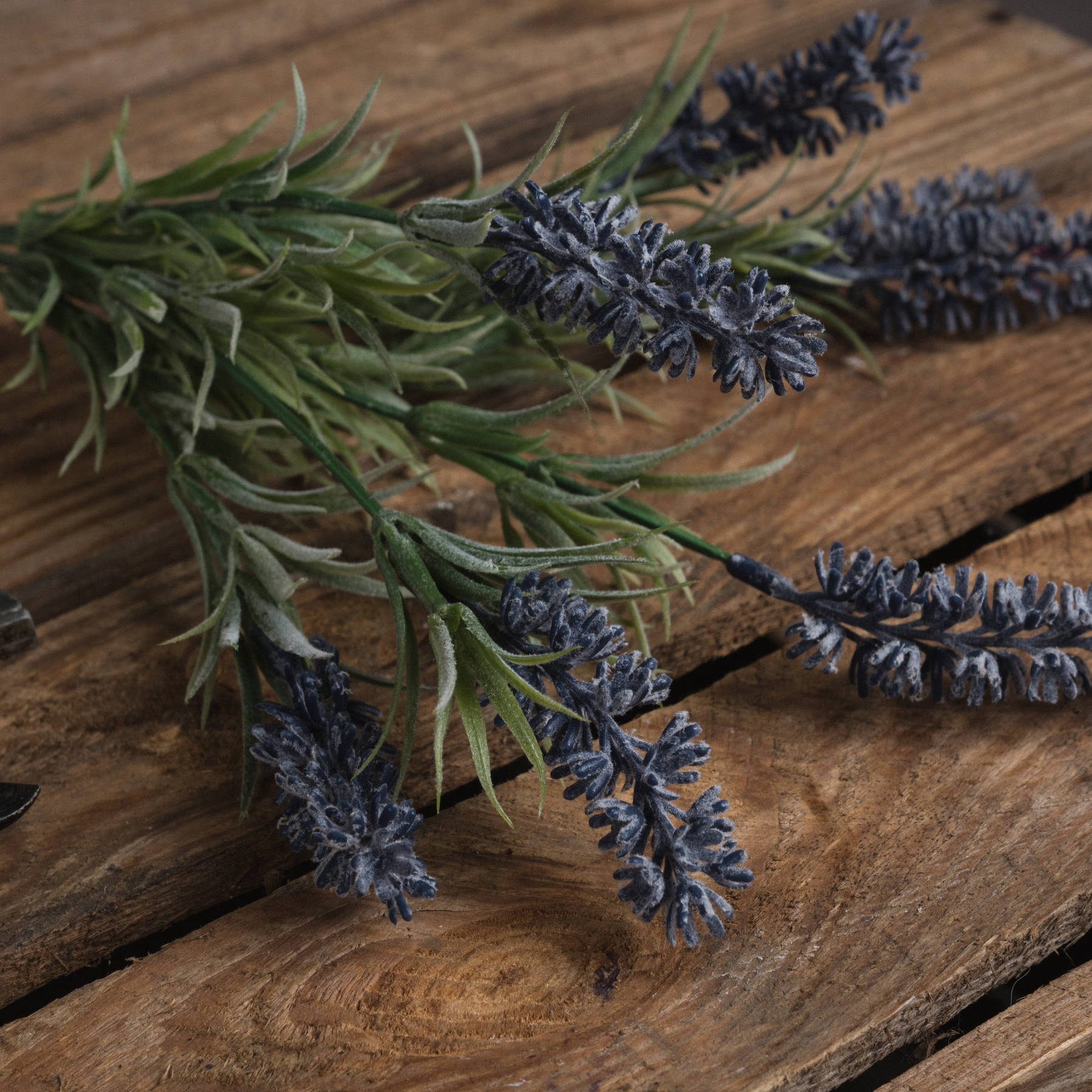 Lavender Spray_5536