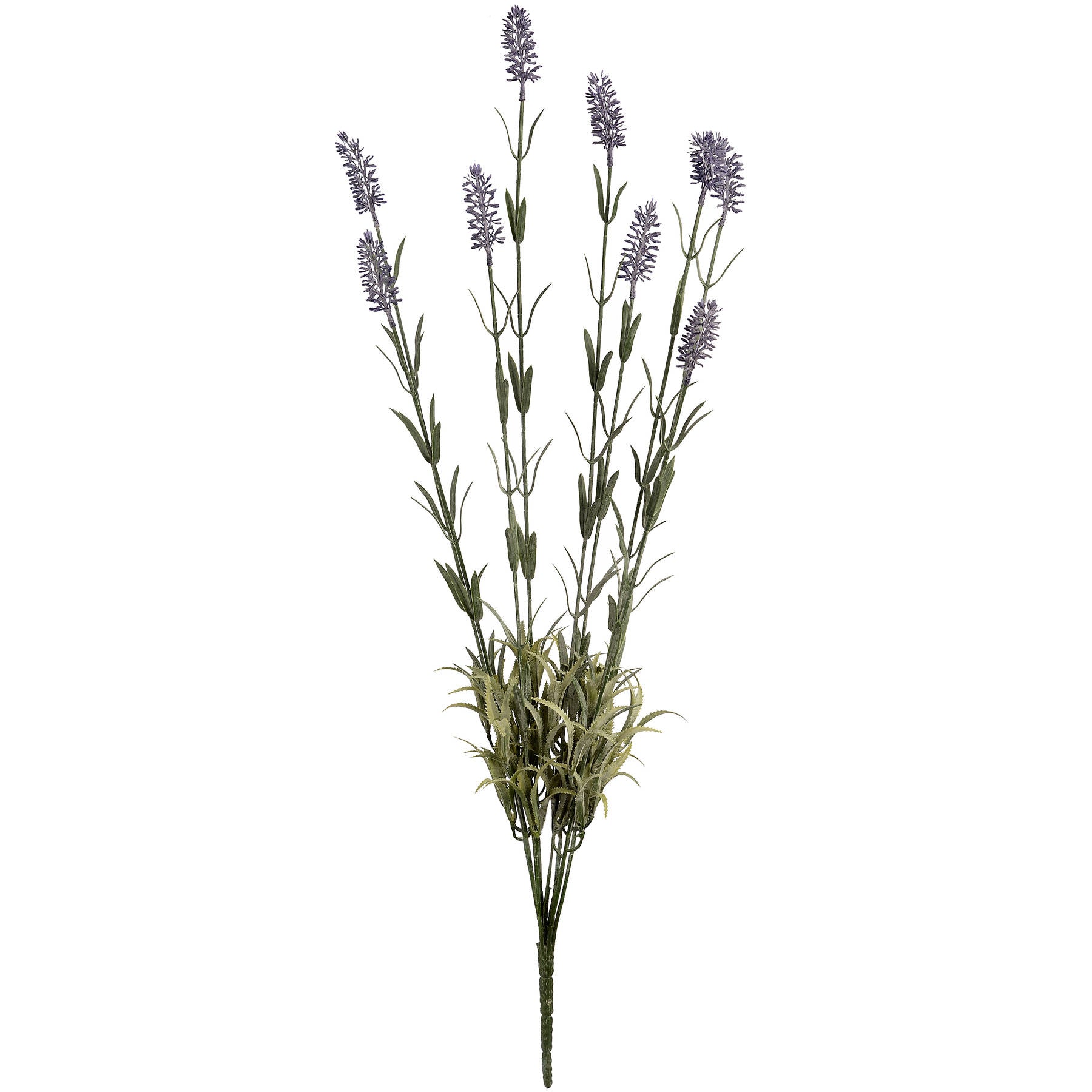 Lavender Spray_5076