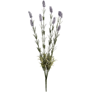 Lavender Spray_5076