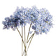 Light Blue Large Headed Agapanthus_5193