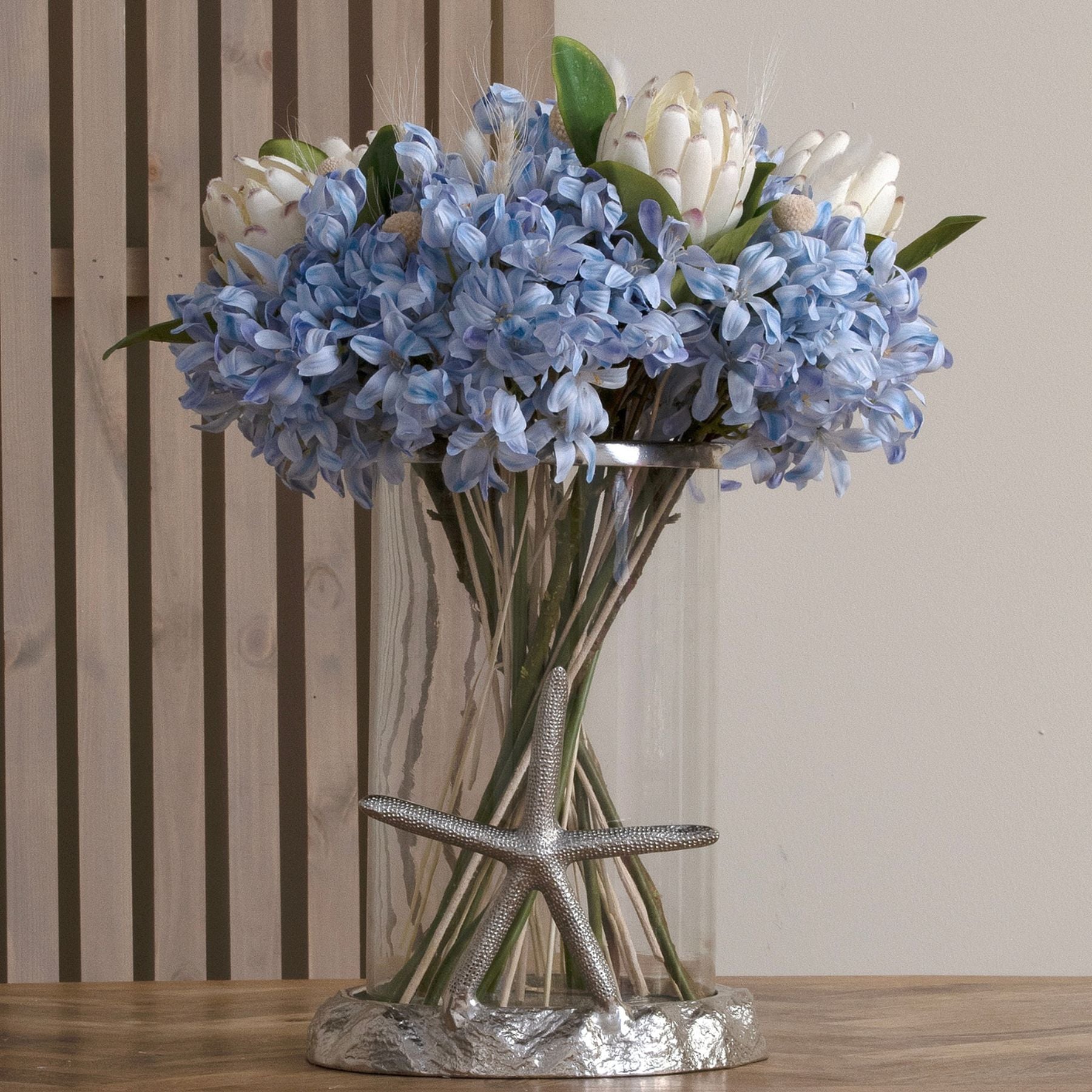 Light Blue Large Headed Agapanthus_5195