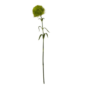 Light Green Dianthus Stem [cid:23840]