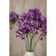 Lilac Agapanthus Spray_5211