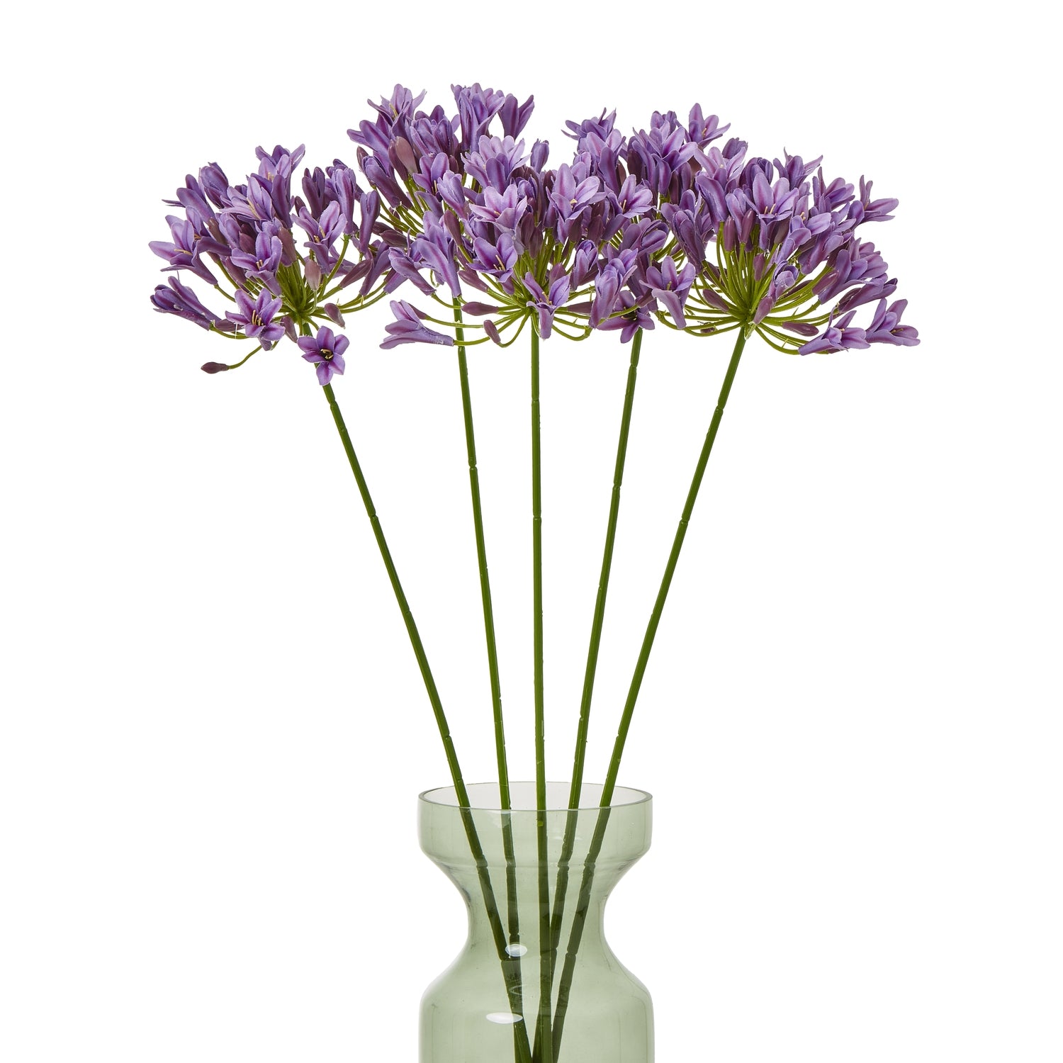 Lilac Agapanthus Spray_5209