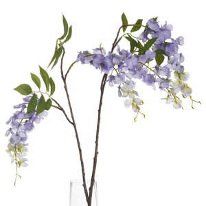 Lilac Wisteria_5232