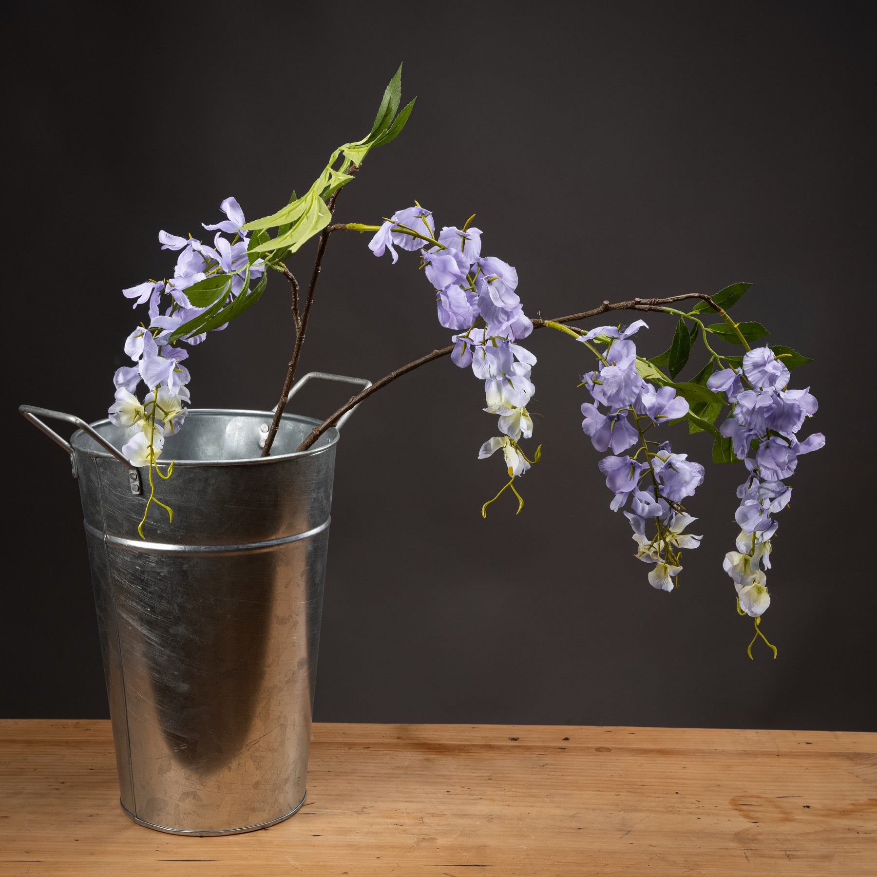 Lilac Wisteria_5230