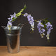 Lilac Wisteria_5230