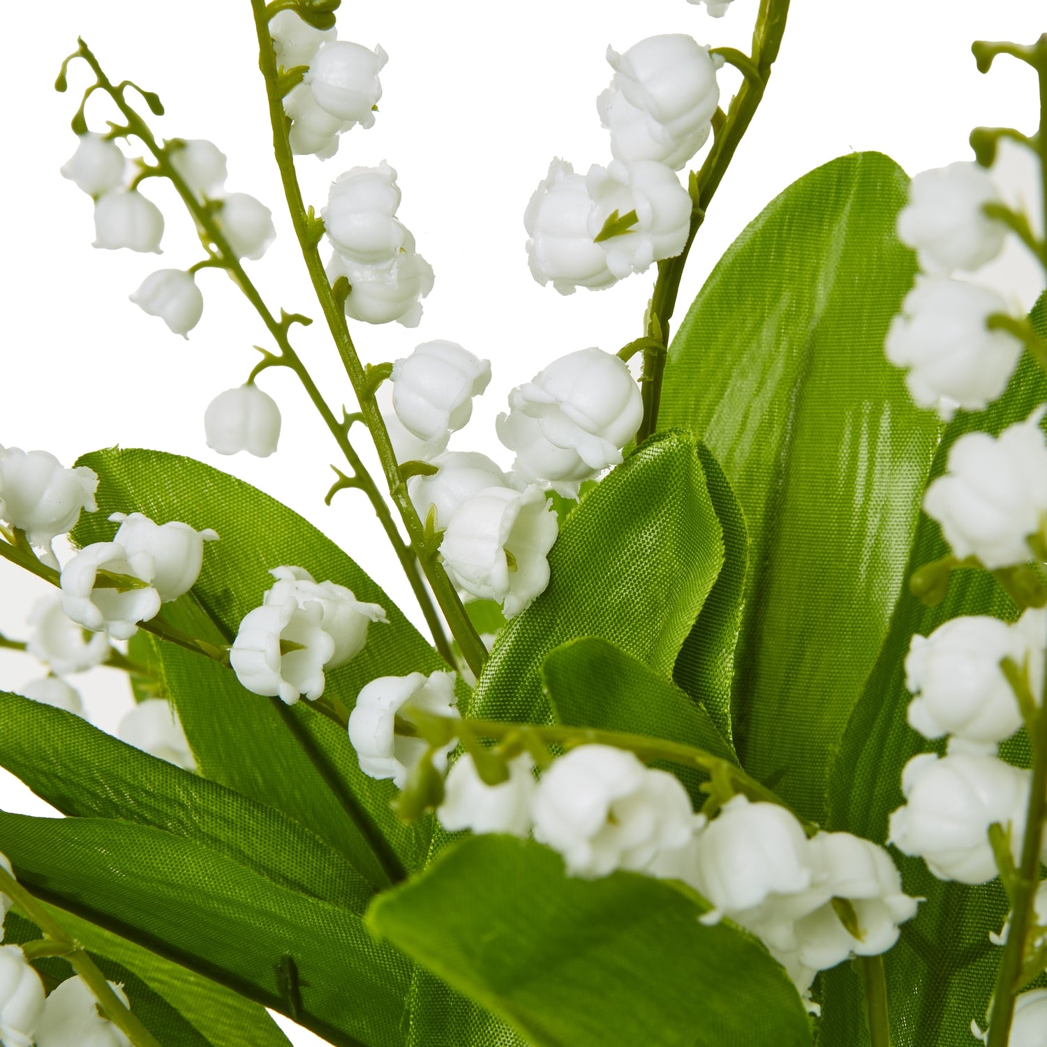 Lily Of The Valley Bunch_5234