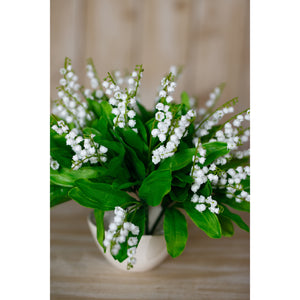 Lily Of The Valley Bunch_5236