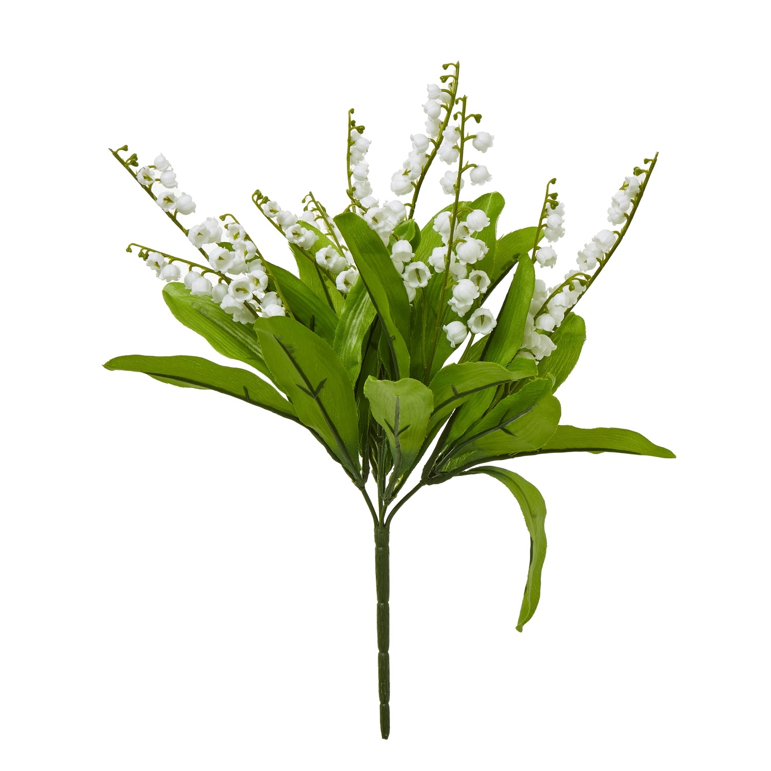 Lily Of The Valley Bunch_5233