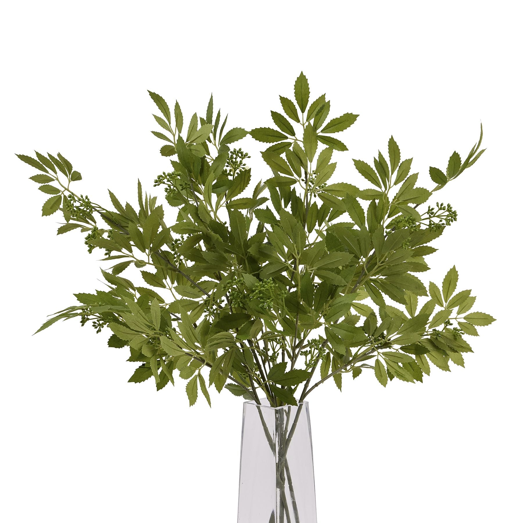 Long Fennel Stem_5242