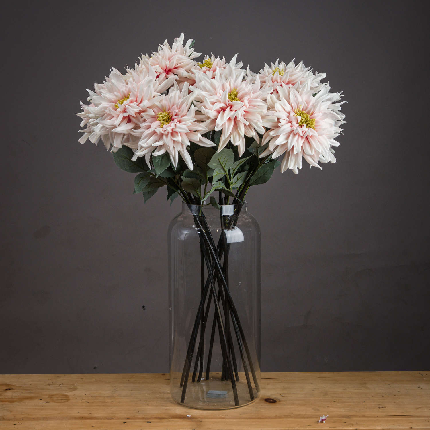 Lush Pink Dahlia_5243