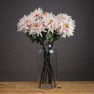 Lush Pink Dahlia_5243