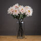 Lush Pink Dahlia_5243