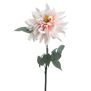 Lush Pink Dahlia_5245