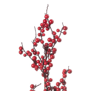 Medium Festive Berry Pick_2522
