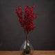 Medium Festive Berry Pick_2520