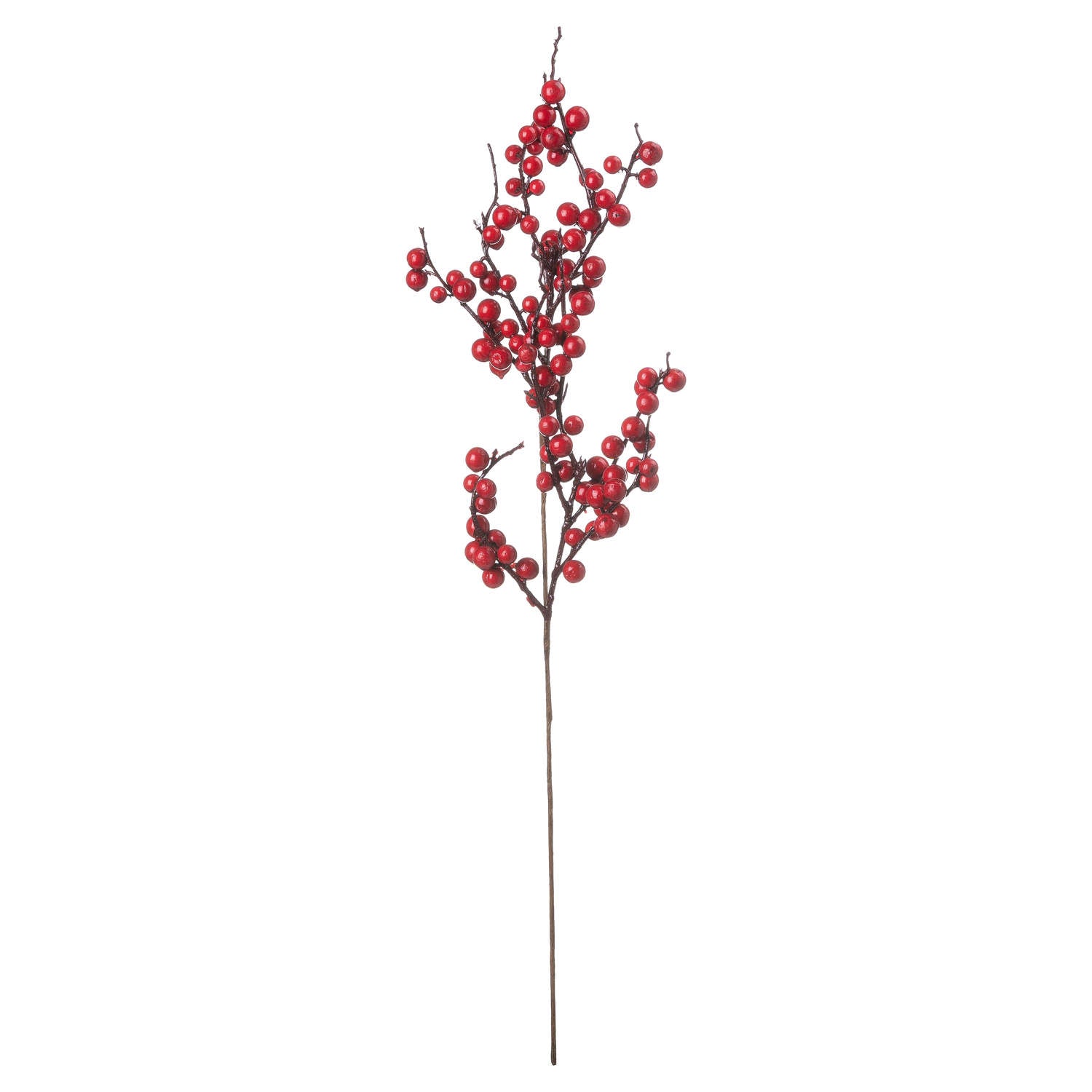 Medium Festive Berry Pick_2521