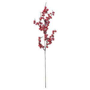 Medium Festive Berry Pick_2521