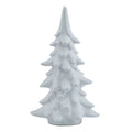 Snowy Fir Tree_2569