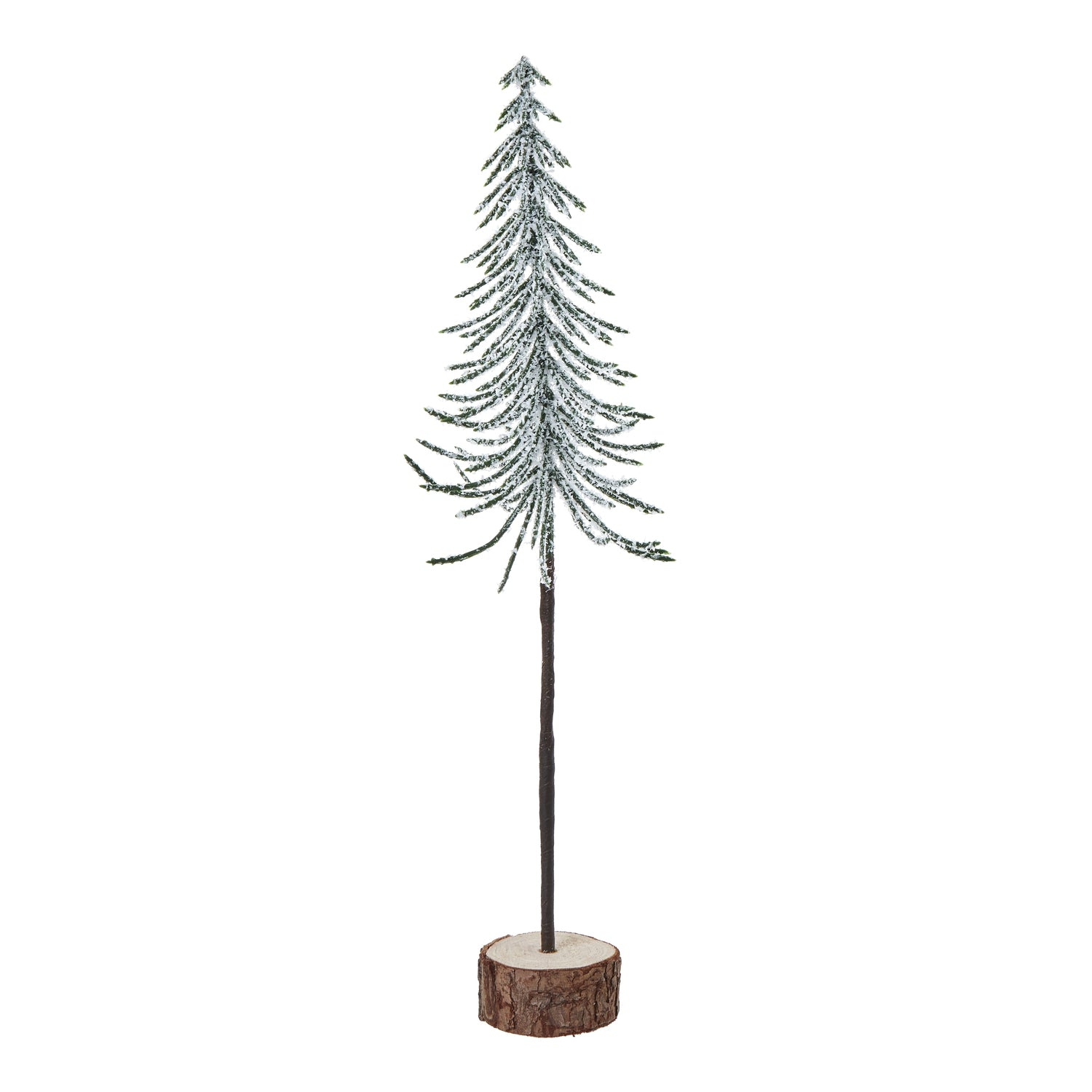 Snowy Spindle Tree In Wood Log_2575