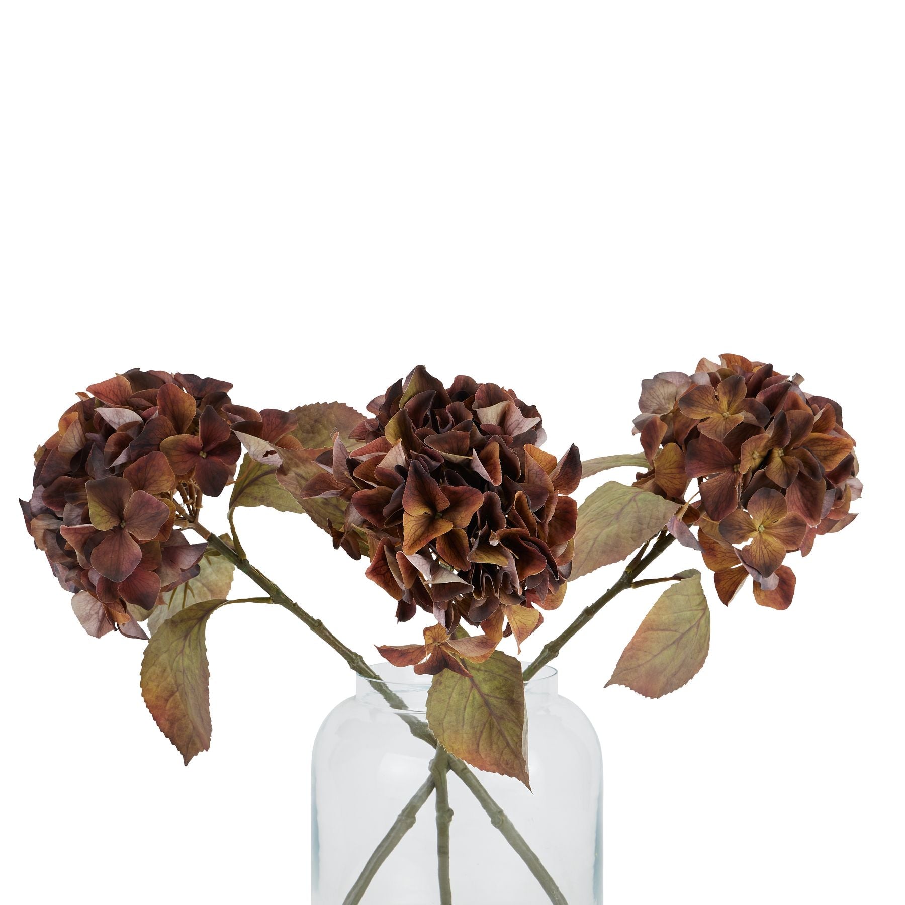 Mixed Autumn Browns Single Hydrangea Stem_5275