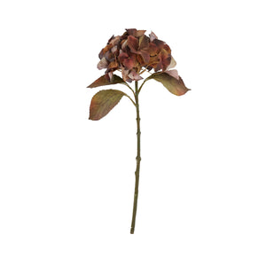 Mixed Autumn Browns Single Hydrangea Stem_5274