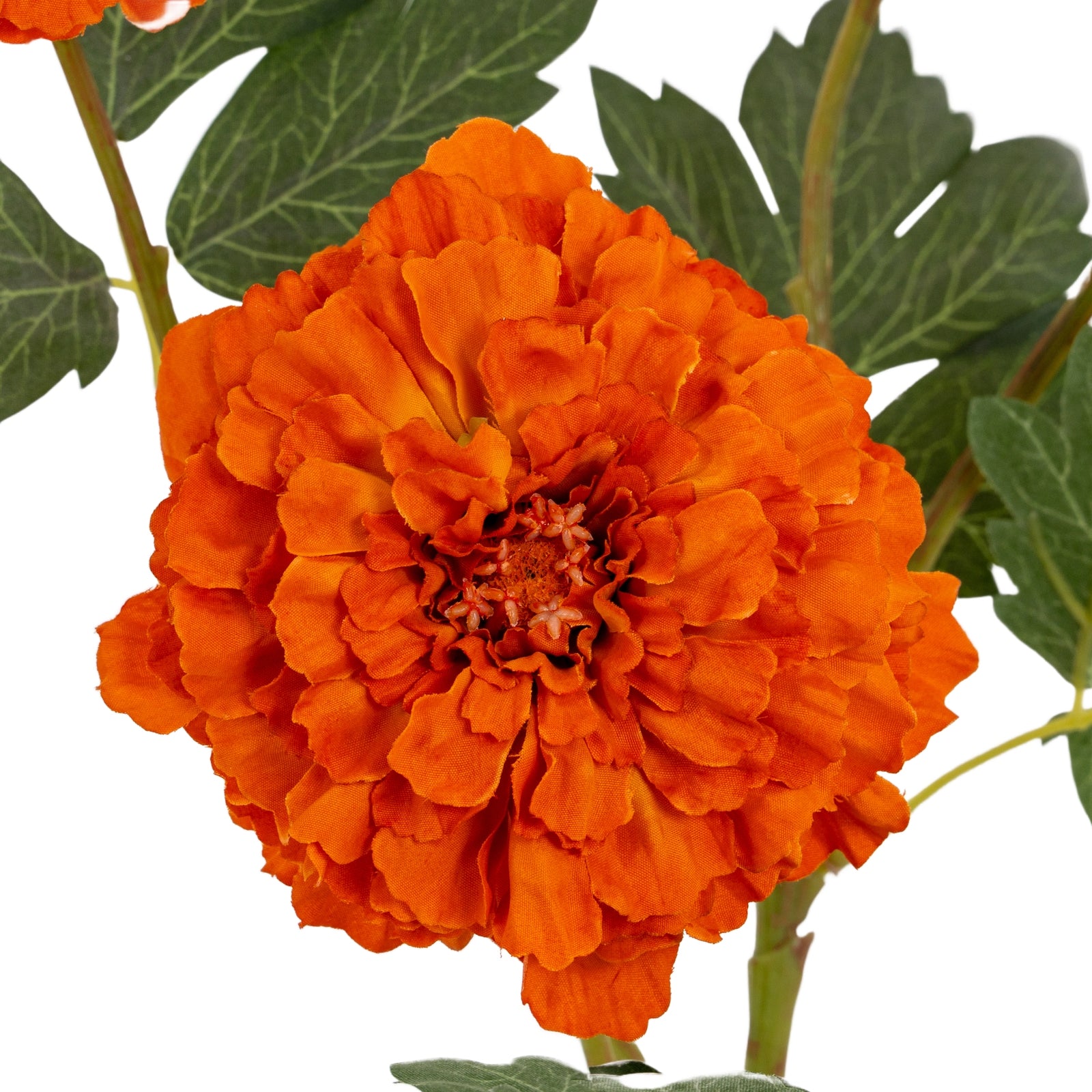 Orange African Marigold Large Spray_5286