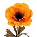 Orange Anemone Stem_5287
