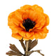 Orange Anemone Stem_5287