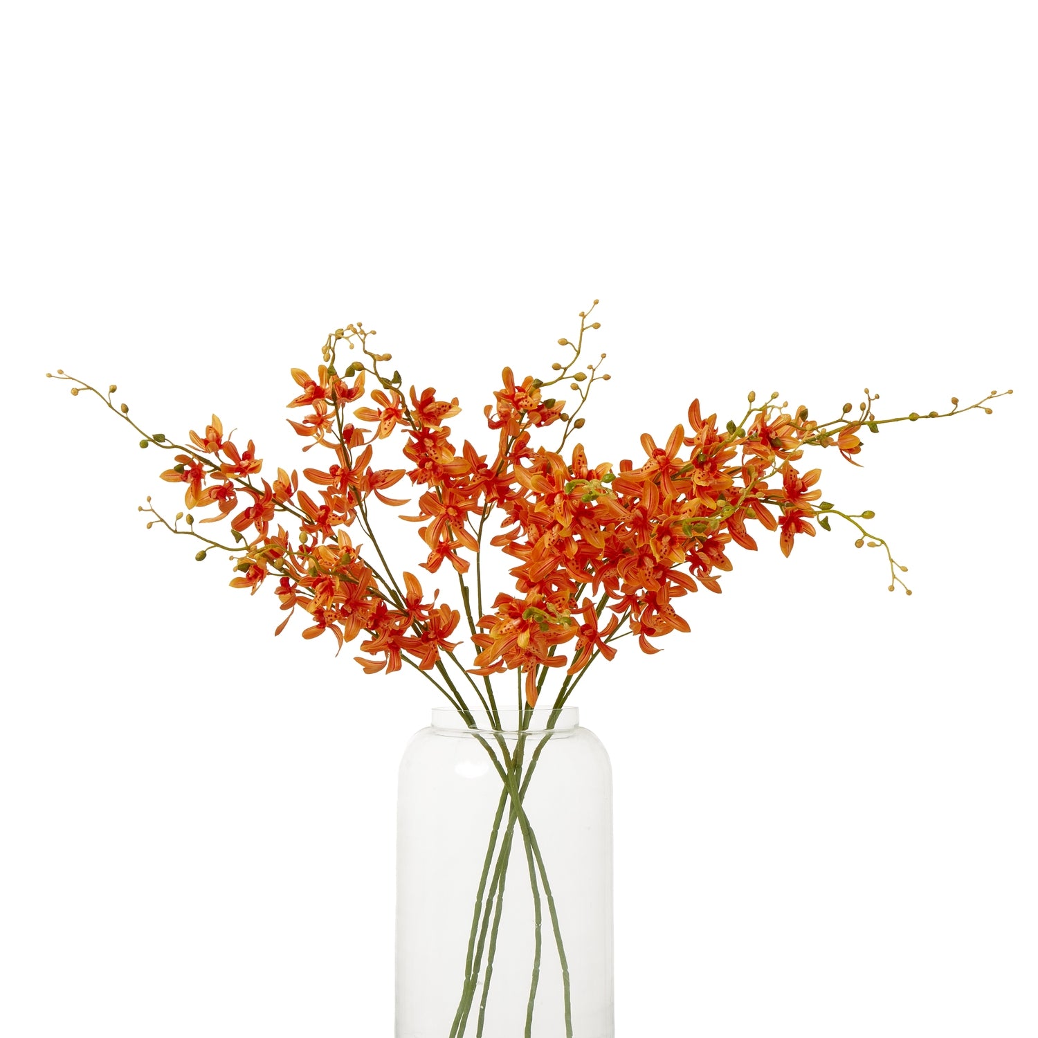 Orange Cymbidium Spray [cid:23871-b]
