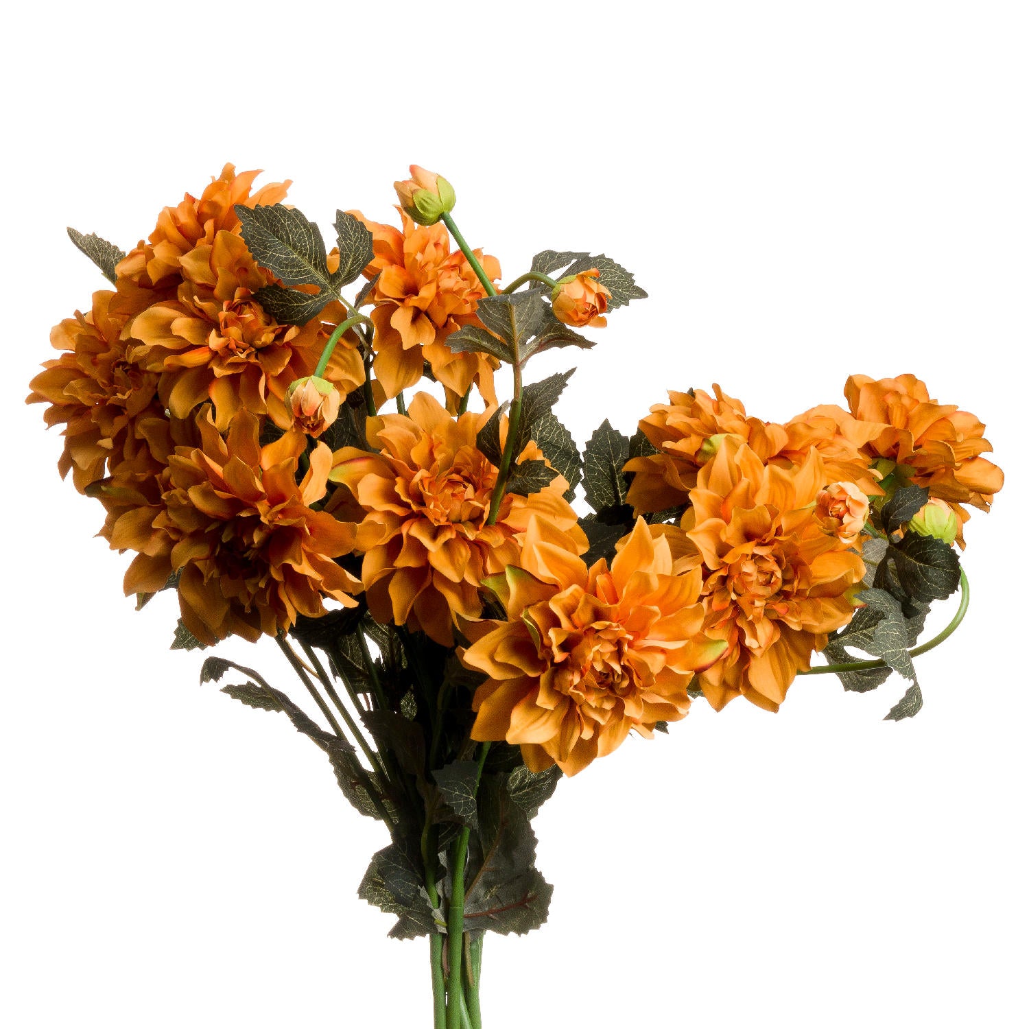 Orange Dahlia Spray_5292