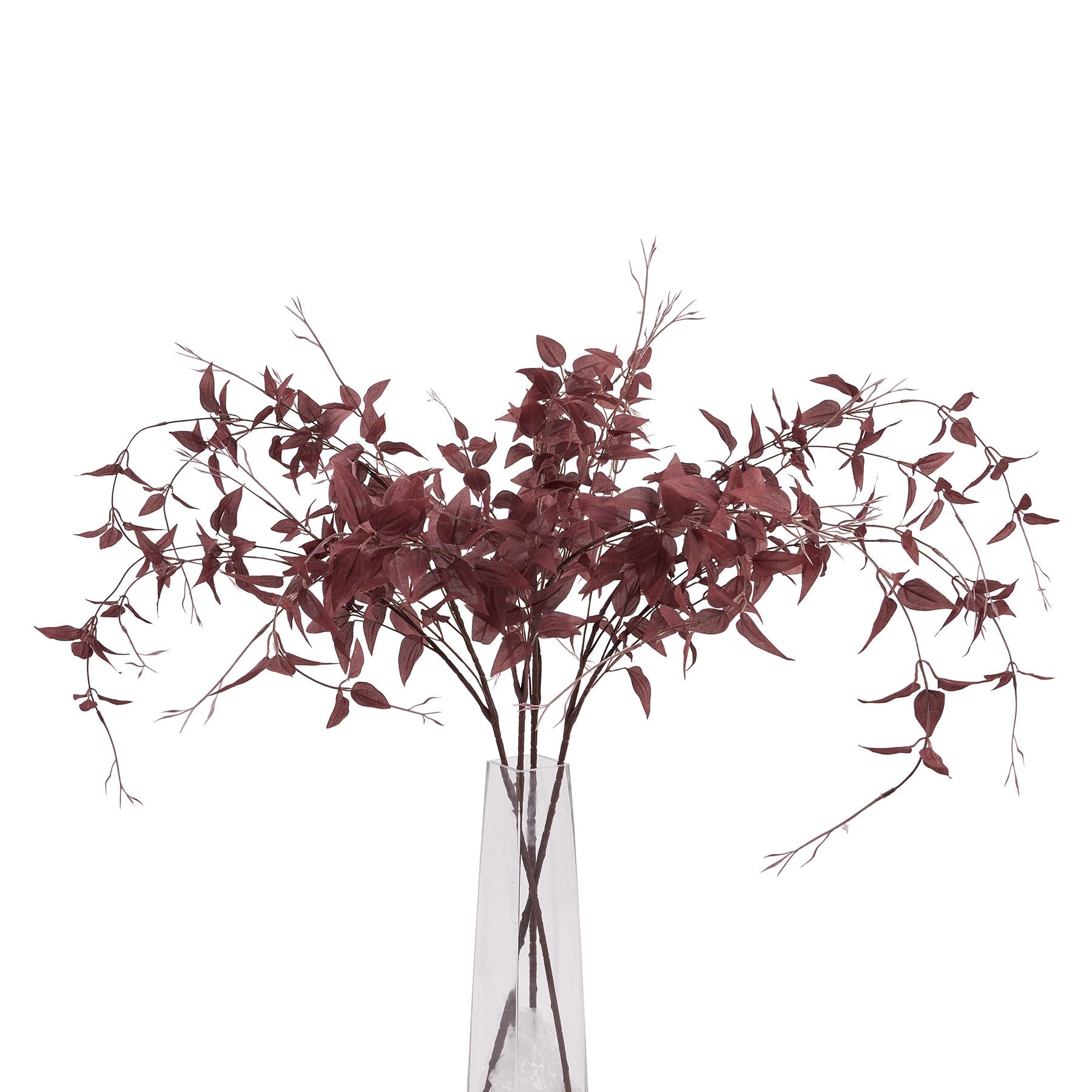 Ornamental Burgundy Leaf_5310