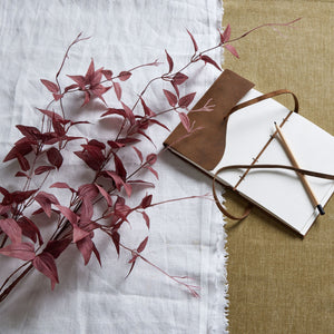 Ornamental Burgundy Leaf_5306