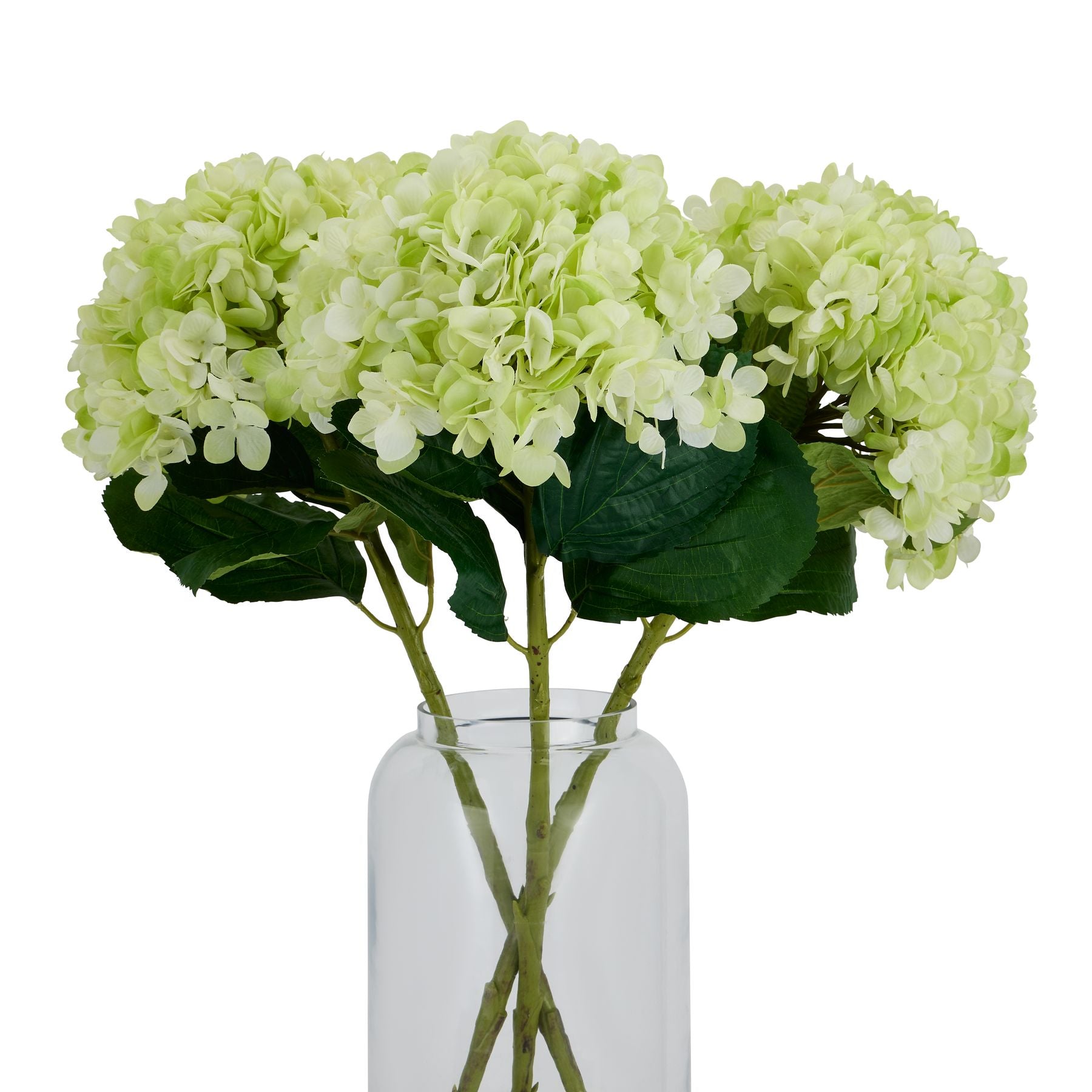 Oversized Hydrangea_5315