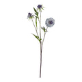 Pale Blue Scabious Stem_5321