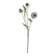 Pale Blue Scabious Stem_5321