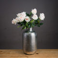Palest Pink Tea Rose [cid:20480]