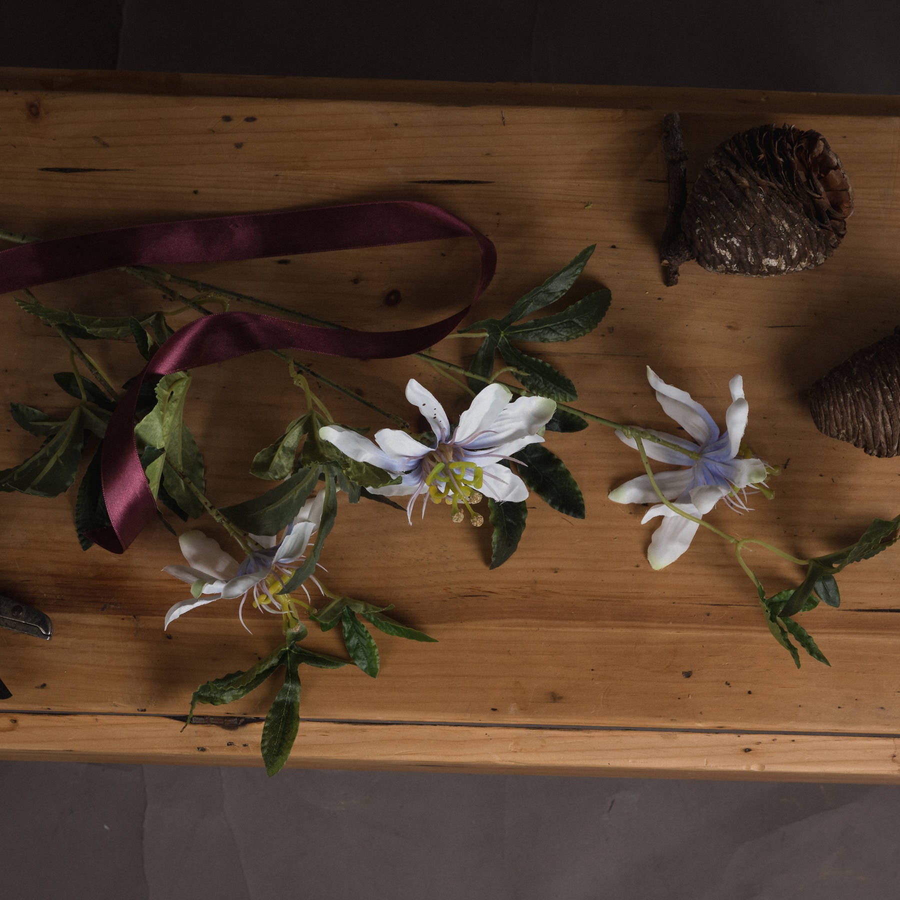 Passion Flower Spray_5337