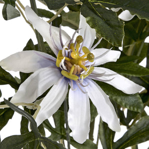 Passion Flower Spray_5340
