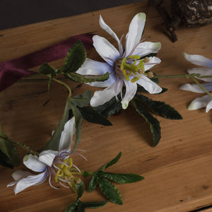 Passion Flower Spray_5338