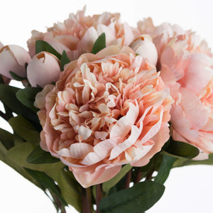 Peach Peony Rose_5353