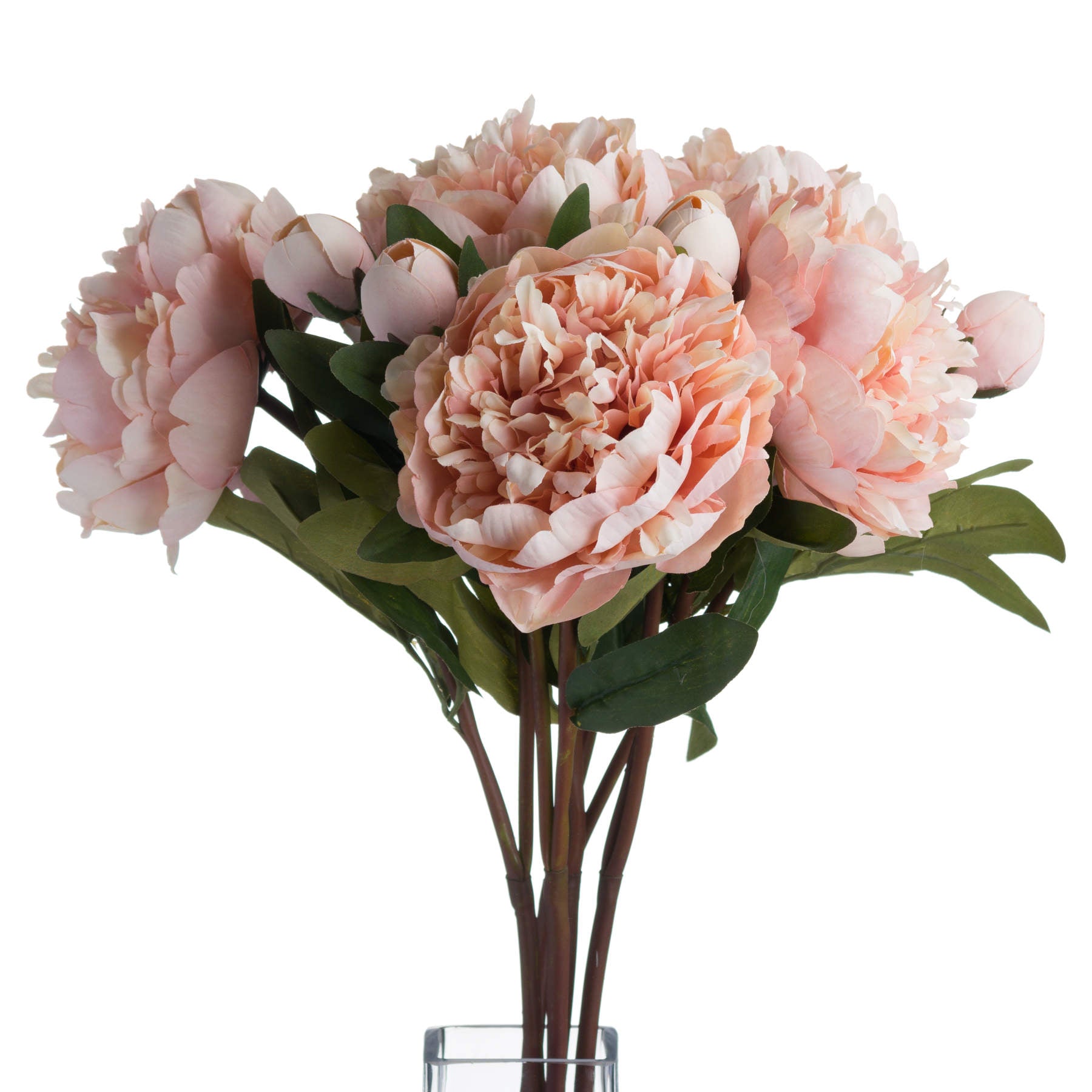 Peach Peony Rose_5351