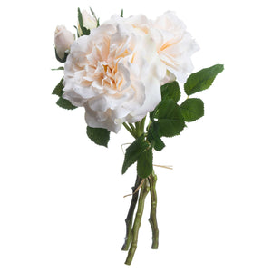 Peachy Cream Short Stem Rose Bouquet_5355