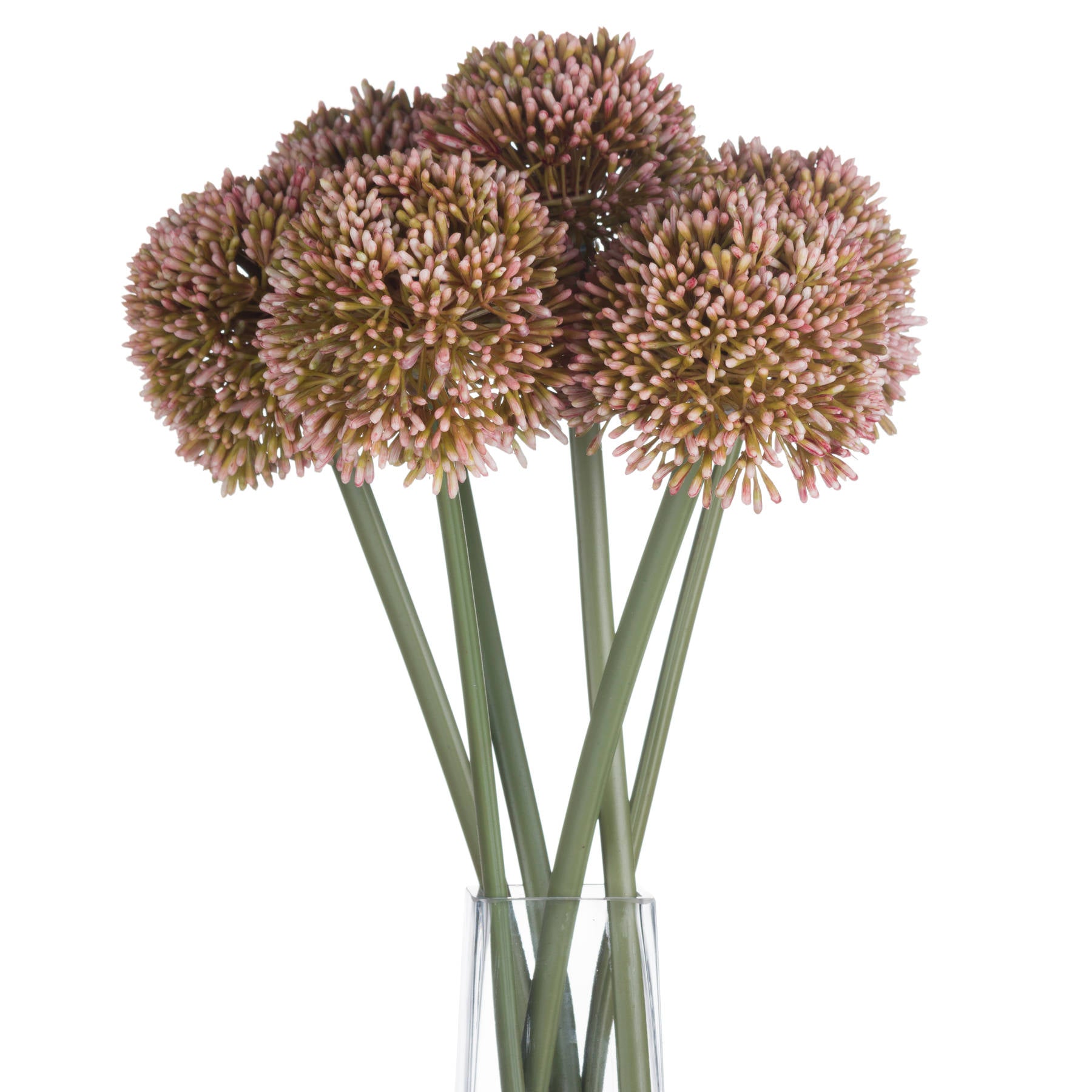Pink Allium [cid:19589-c]