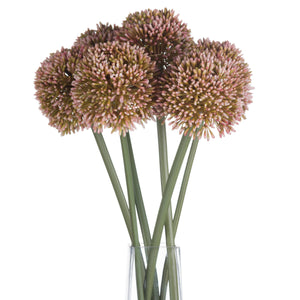 Pink Allium [cid:19589-c]