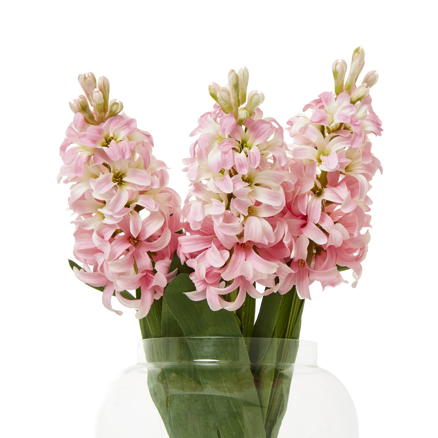 Pink Hyacinth Stem [cid:23877-b]