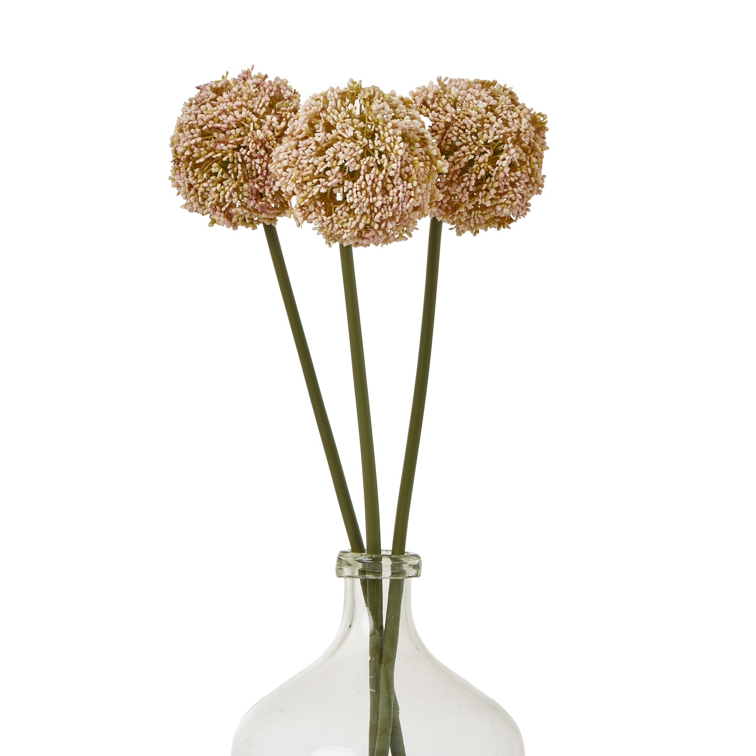 Pink Allium Stem [cid:23866-b]