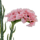 Pink Statis Spray_5404