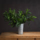 Pistach Bunch_5407
